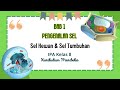 Cell Structure and Function Concepts