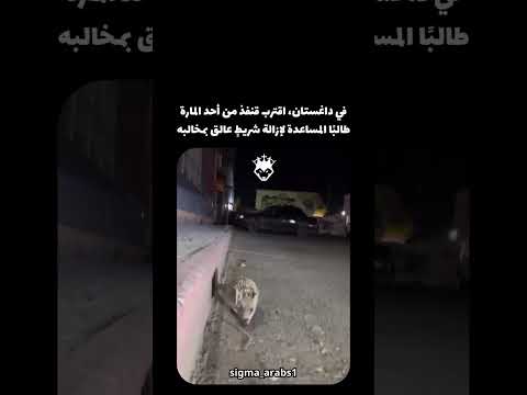 شكرآ يا رجوله 👍😅