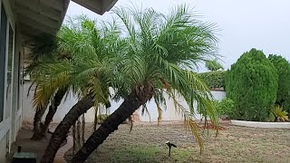Lluvias Del Huracan KAY