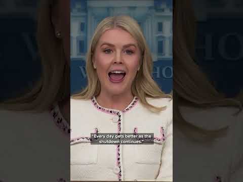 Dems statements about government shutdown 'truly disturbing' as workers go without pay: Leavitt