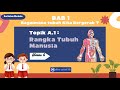 Human Skeletal System Concepts