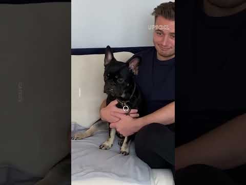 🐶 AMOR, ADAPTACIÓN y CELOS tras la LLEGADA del BEBÉ 🍼💛