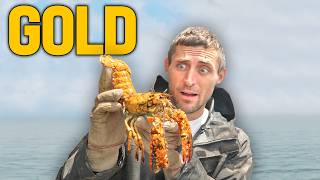 I caught a rare GOLD lobster