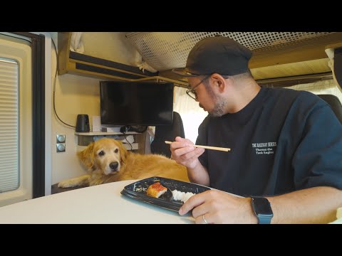【車中泊】急遽愛犬と一緒に車中泊することになりました。