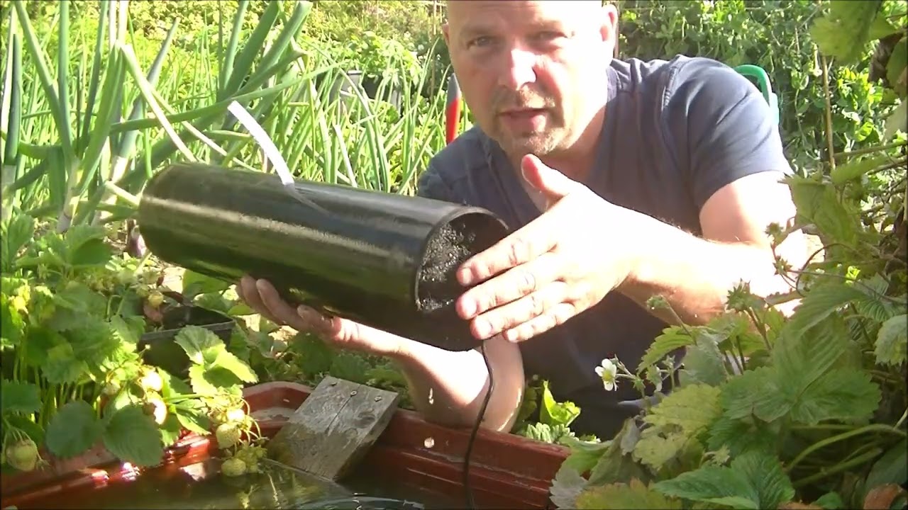 DIY Solar Powered Pond Filter – It Works……very well
