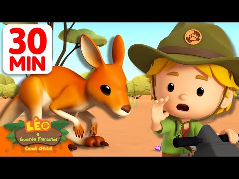 O canguru-vermelho está roubando meu bichinho de pelúcia! 🦘 | Leo, O Guarda Florestal | Animação