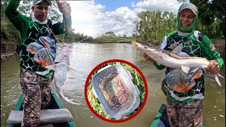 Amigos de la Pesca cap 43:  Es la primera vez que vemos este pez, lo pescamos y lo cocinamos.