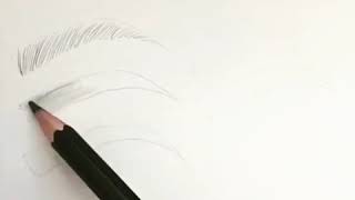 Charcoal Art:Eyebrow Drawing From Silvie Mahdal