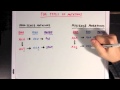 Exploring Types of Mutations and Their Effects