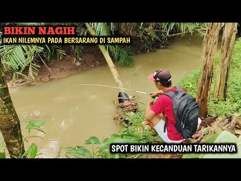 MANCING NILEM SEHABIS HUJAN TIBA-TIBA IKAN TAWESNYA NYAMBAR