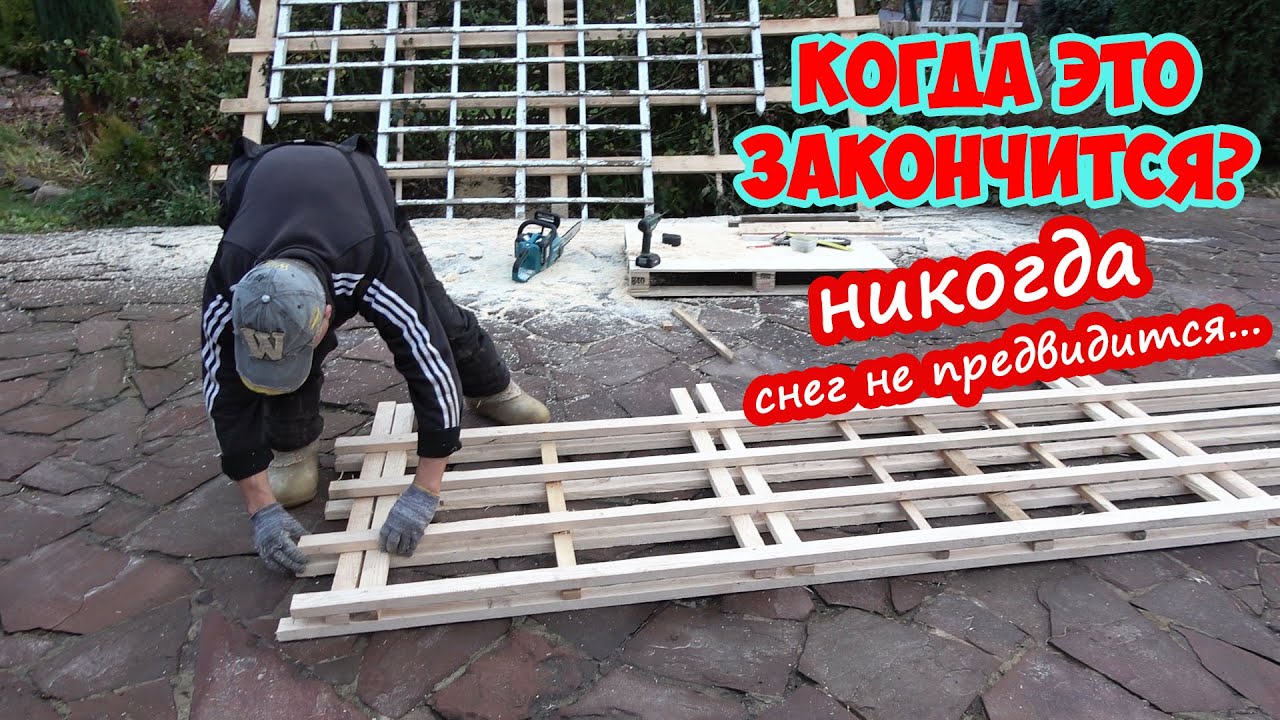 Бесконечный день в ноябрьском саду. Когда снег уже!