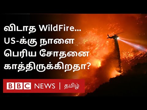 US Wildfire: எச்சரிக்கும் தீயணைப்புத்துறை; Los Angeles-ல் தற்போதைய நிலை என்ன?