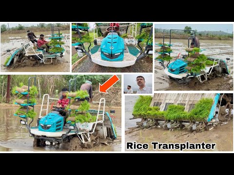 बेकार है ये मशीन ? Rice planting | Kubota Rice Transplanter किसको खरीदनी चाहिए ये ?