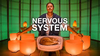 Sympathetic Nervous System RESET
