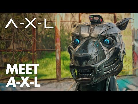 Meet A-X-L
