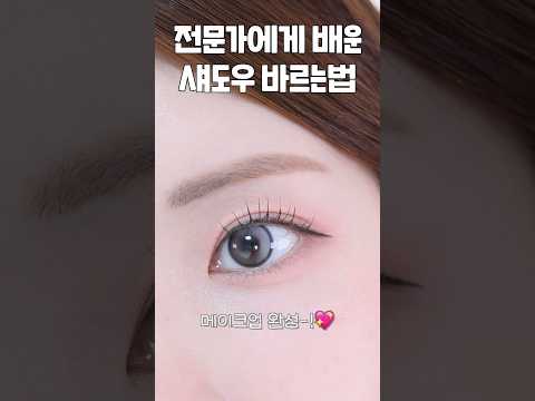 전문가에게 배운 섀도우 예쁘게 바르는법 (ft.올영 세일템)