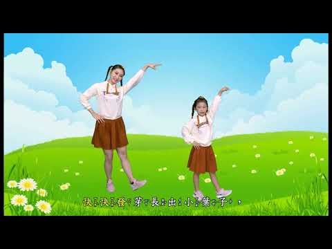 二年級小種子