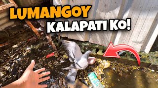NAHULOG SA ILOG SI TAIWAN BIRD