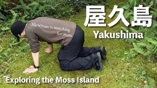 はじめての屋久島こけ散歩