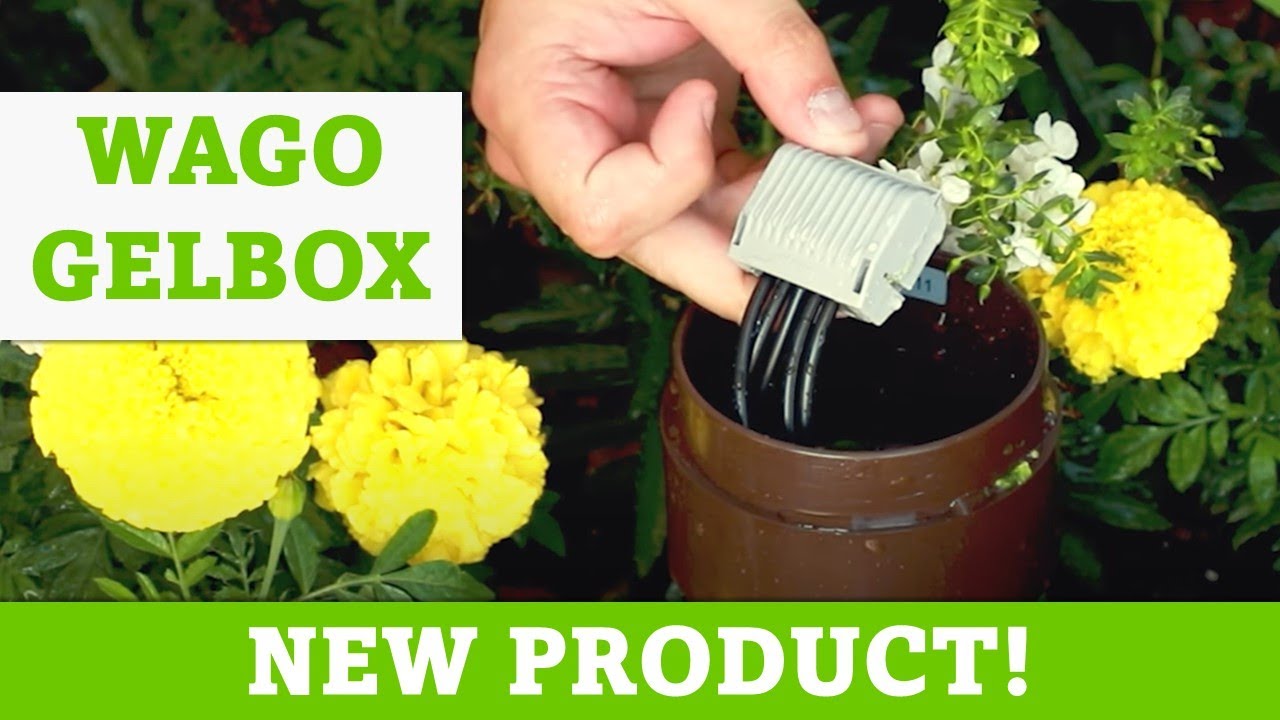 Gelbox DIY Gardening