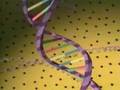 Exploring the Fundamentals of DNA Structure