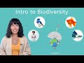 Classification of Living Organisms