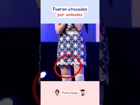 Idols que fueron atacados por animales #kpop #shorts
