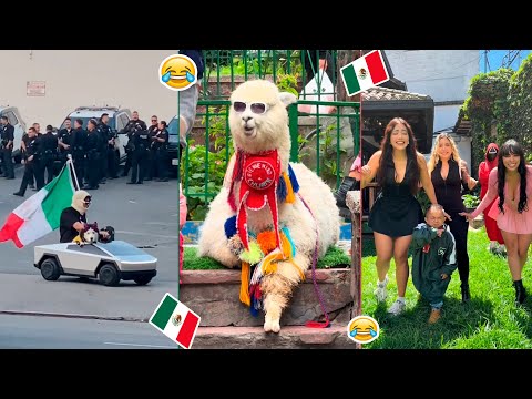 🔥HUMOR VIRAL #308🇲🇽| SI TE RIES PIERDES.😂🤣 | HUMOR MEXICANO TikTok | VIRAL MEXICANO