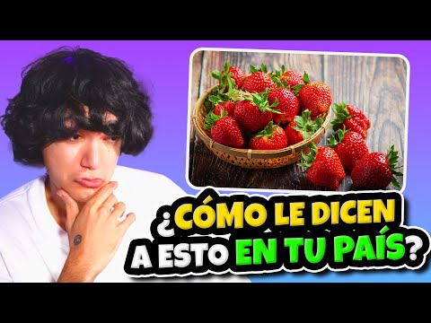 ¿CÓMO LE DICEN A ESTO EN TU PAÍS?🥵🫵🏻 | PlayQuiz