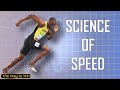 Running Mechanics and Forces