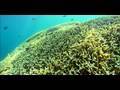 Exploring the Significance of Water in Earth's Processes