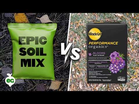 Can We Make a Better Soil Mix Than Miracle-Gro?