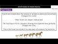Darwin's Theory and Evolution Evidence