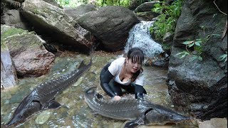 how i catch fish in small streams in the forest. mountain life