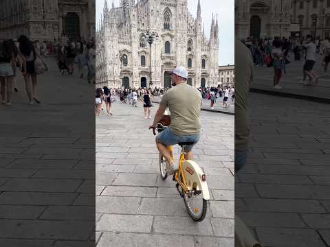 Un gatto in bici a Milano
