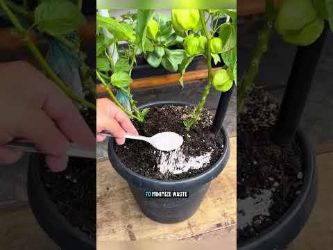 How Japan Produces Liquid Eggs Every Day #technology  #production  #knowledge  #facts  #discoveries