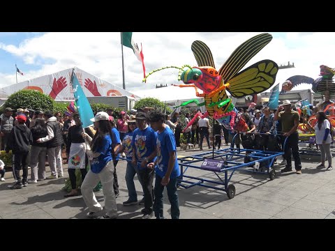 La Fiesta  De Los Alebrijes En El Zocalo De La CDMX