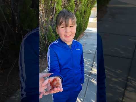 She missed it! #Tesla #pranks #funnyvideos #viral #shorts