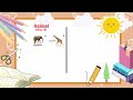Categorizing Animals and Weather Terms