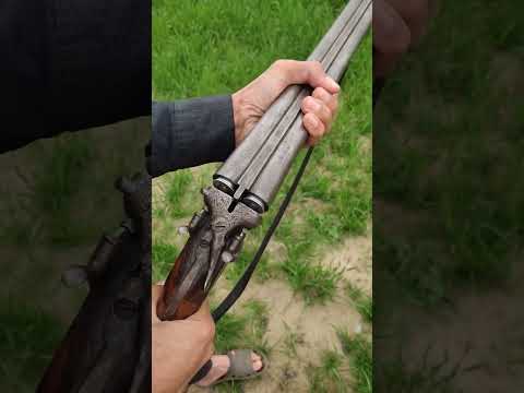 12 Bore Gun
