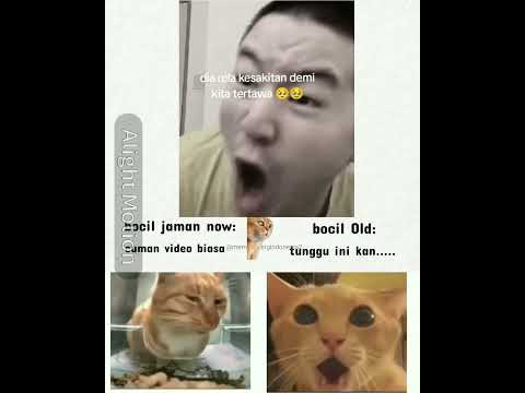 masih ada yang ingat?😞😞 #kucing #nostalgiajamandulu #memes #viral #cat #shorts