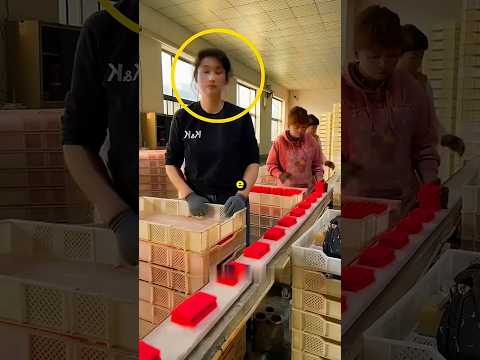 Ela estava CANSADA! 😪 #curiosidades #trabalho #incrível