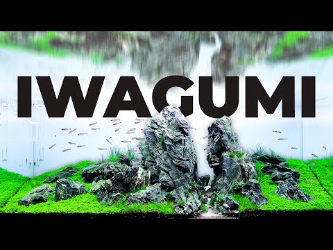 Mastering Iwagumi: The Art of Rock Formations in Aquascaping