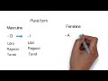 Italian Nouns and Their Plurals