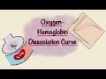 Oxygen Binding and Hemoglobin Function