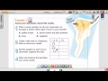 Data Collection and Analysis Concepts