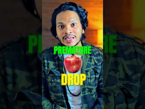 Apples Of Kashmir! #shorts