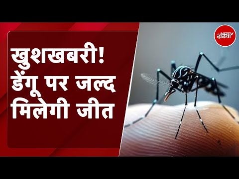 Dengue Vaccine: डेंगू का आतंक अब जल्द होगा खत्म! मार्केट में दस्तक देगी डेंगू की देसी वैक्सीन