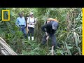 Understanding Peatlands and Their Impact
