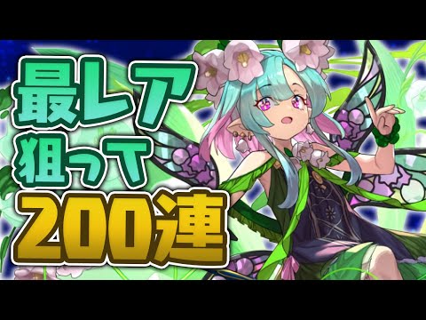 【星を紡ぐ精霊】スズランのミリア狙ってガチャ引くよ！！【パズドラ】